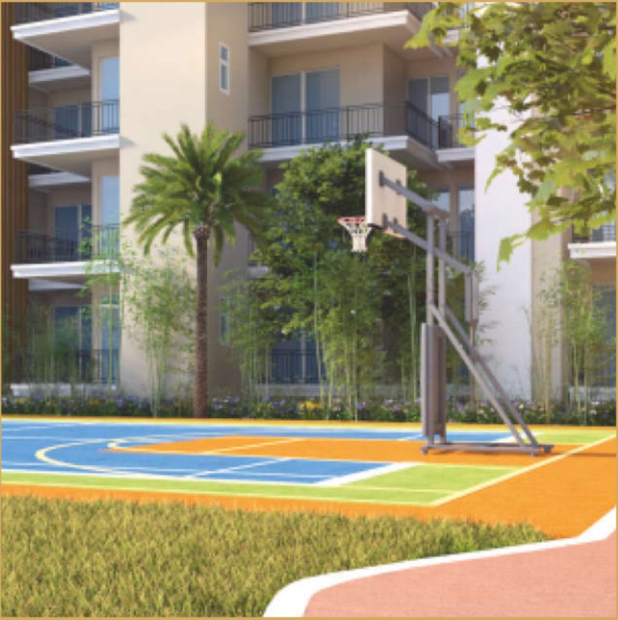 Multipurpose basketball court