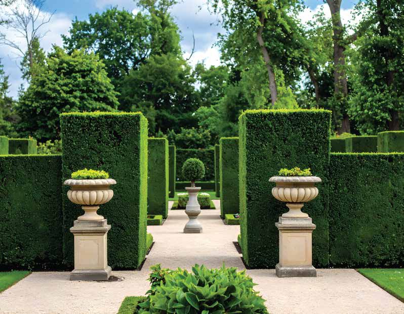 Hedge-lined garden walk with classical stone urns